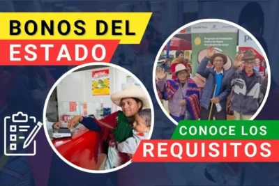 Bonos del Estado